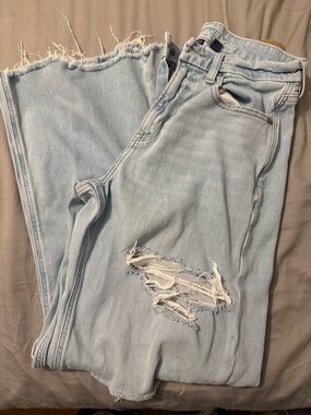 American Eagle Outfitters Light Blue Distressed Wide Leg Jeans-Curvy fit
